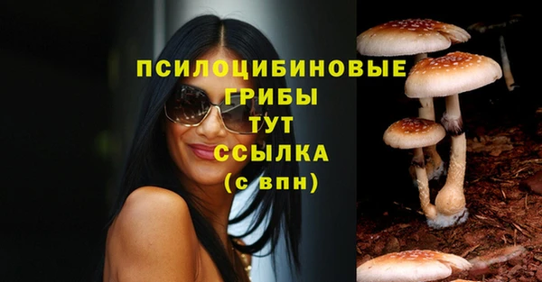 ешки Балахна